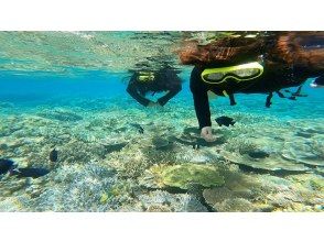 Go from a popular spot! Beach snorkeling ♪