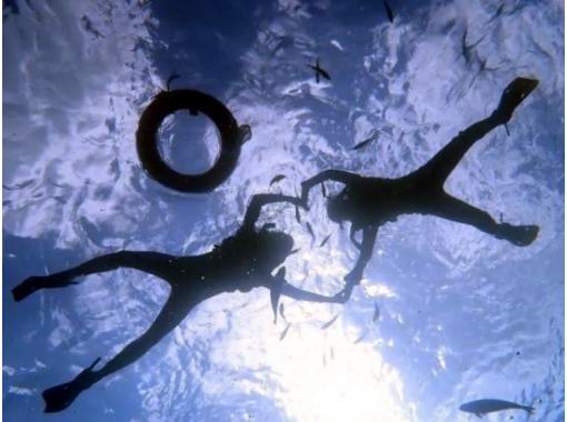 【慶良間・半日】当日予約もOK！シュノーケルツアー★泳げなくても大丈夫！手ぶらで参加できる天然の水族館！の画像