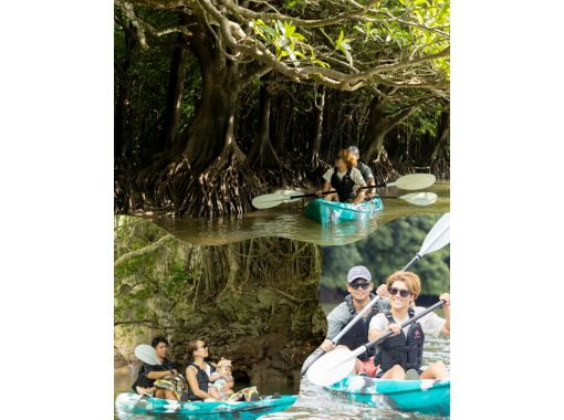 【沖縄・石垣島】島生まれ島育ち(しまんちゅ)プレゼンツ！少人数制マングローブカヤックツアー★写真データ無料！雨天時特別キャンセル無料の画像