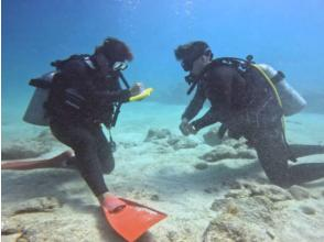 《沖縄・ダイビングライセンス》最短2日でオープンウォーターダイバー★初心者・お1人様大歓迎！安心の少人数制★楽しくダイバーデビュー！