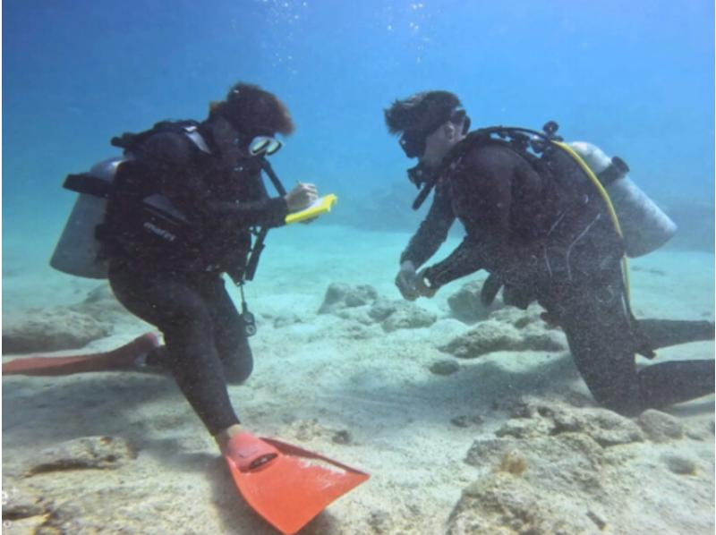 《沖縄・ダイビングライセンス》最短2日でオープンウォーターダイバー★初心者・お1人様大歓迎！安心の少人数制★楽しくダイバーデビュー！の紹介画像