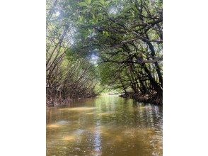 ★Free cancellation in case of rain★ Presented by an island-born and island-raised person!! Don't worry about the rain! Mangrove kayaking tour! Free photo data included!