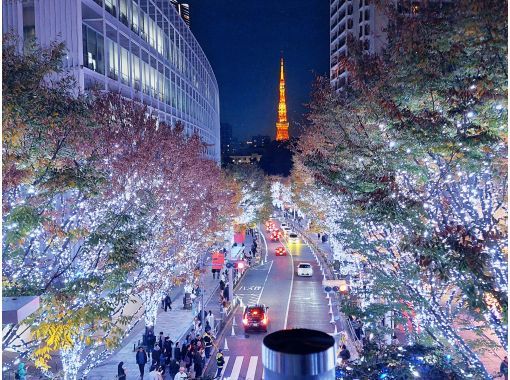 【東京・23区内】クリスマス期間限定！ ガイド選りすぐりのスポットを電動アシスト自転車で巡るイルミネーションツアーの画像