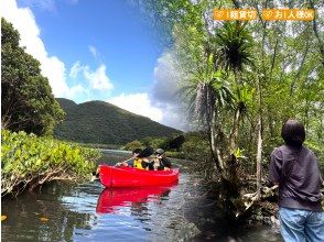 【鹿児島・奄美】北部〜名瀬エリア送迎可能！ “1組貸切” おひとりご参加OK、女性ガイドが案内する マングローブカヤック＆プチ観光ツアー