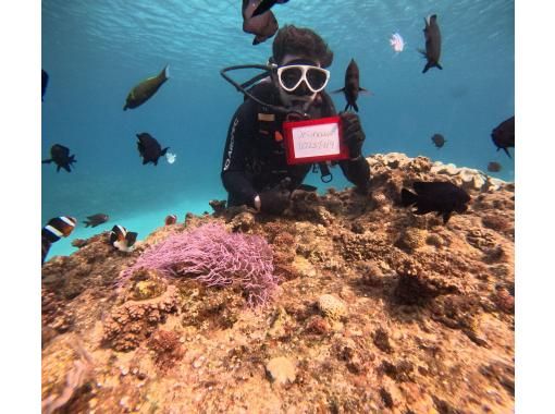 体験/FUNダイビング【沖縄本島・ゴリラチョップ等】♡ 初心者・お一人様・グループ（日本語・English）の画像