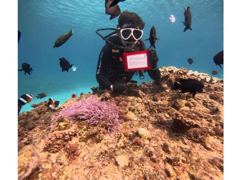 【北海道・SUP体験】透明度の高い支笏湖の湖面をクルージング！SUP体験（半日コース）の画像