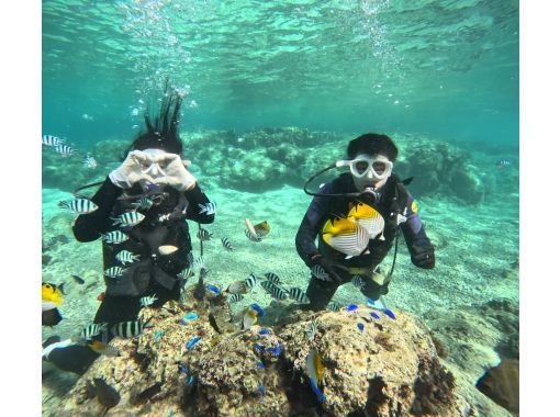 Experience Diving [Okinawa Main Island, Gorilla Chop/Blue Cave/Nakayukui] Private Rental ♡ Beginners, Solos, Groups (Japanese/English)の画像