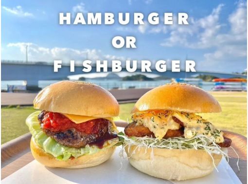 519 [熊本/天草] 巴士之旅：观赏野生海豚和美味汉堡套餐の画像