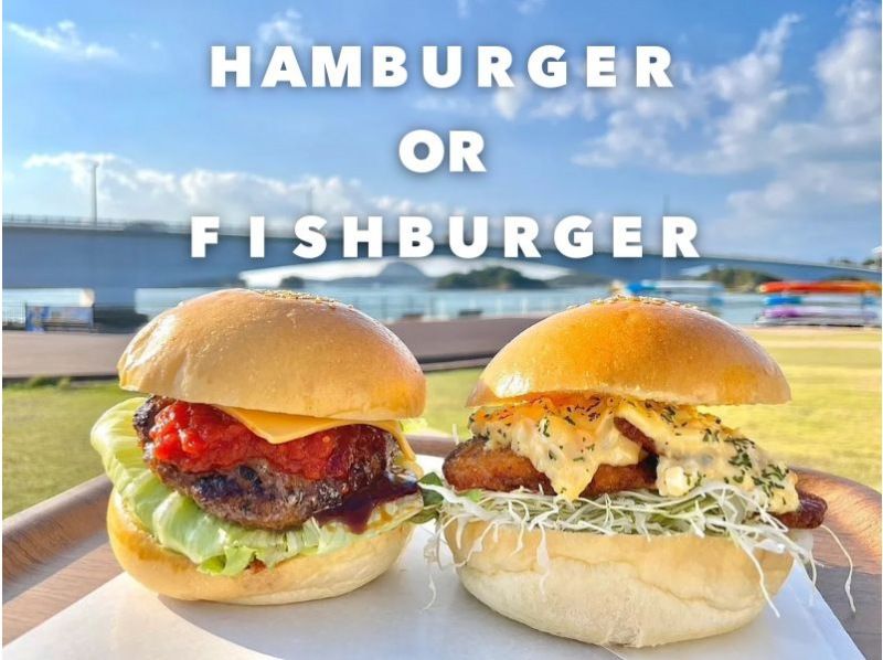 519 [熊本/天草] 巴士之旅：观赏野生海豚和美味汉堡套餐の紹介画像