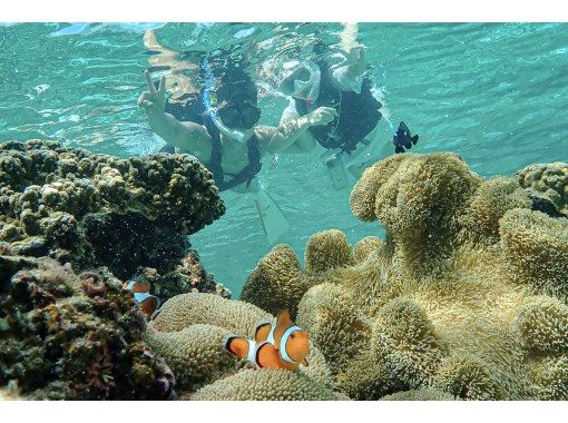 【沖縄・宮古島】透明度抜群!サンゴが広がるビーチでシュノーケリング〜ウミガメやニモにも会える!撮影データプレゼント(初心者・当日予約OK) 【沖縄・宮古島】透明度抜群!サンゴが広がるビーチでシュノーケリング〜ウミガメやニモにも会える!撮影データプレゼント(初心者・当日予約OK)