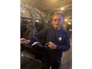 【和歌山，五保】尽情享受户外时光！猫头鹰肩扛和拍照体验