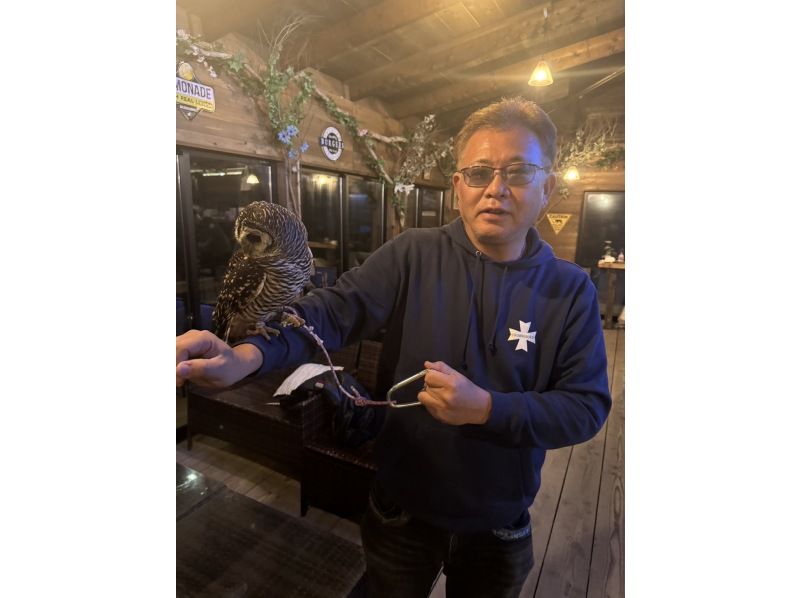 【和歌山，五保】尽情享受户外时光！猫头鹰肩扛和拍照体验の紹介画像