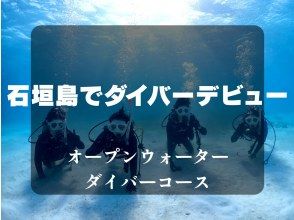 【石垣島・２日間】石垣島でダイバーデビュー！PADI OWDコースを取得【各種サポート】【e-Learningで事前学科講習】