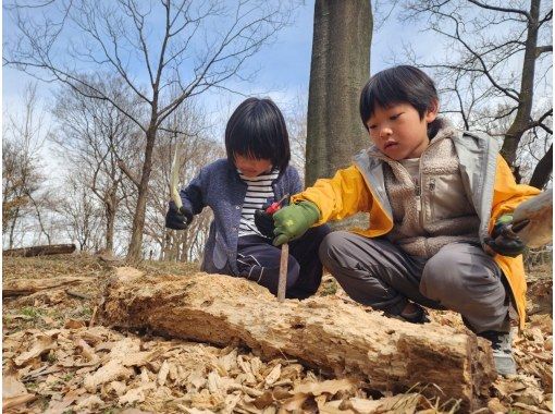 【冬限定！マニアック企画】冬のカブト・クワガタ幼虫探しの画像