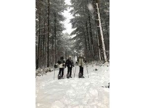 [Hokkaido Furano] Furano Snowshoe Hiking Tour