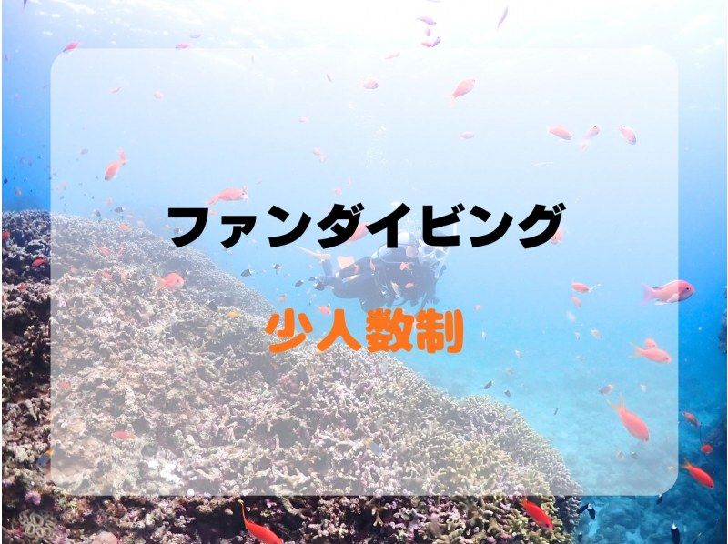 【石垣島・午前・少人数制】フルレンタル無料｜専属ガイドがご案内｜幻の島上陸＆ファンダイビング【器材セッティング、各種サポート】【１ダイブ】の紹介画像