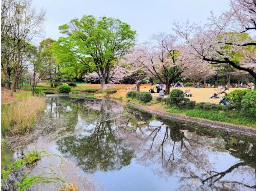 桜のトンネルとしだれ桜の庭園＆怒涛の桜8景と新名所お買い物バスツアー　～まい泉のカツサンド付～【029029-1095】の画像