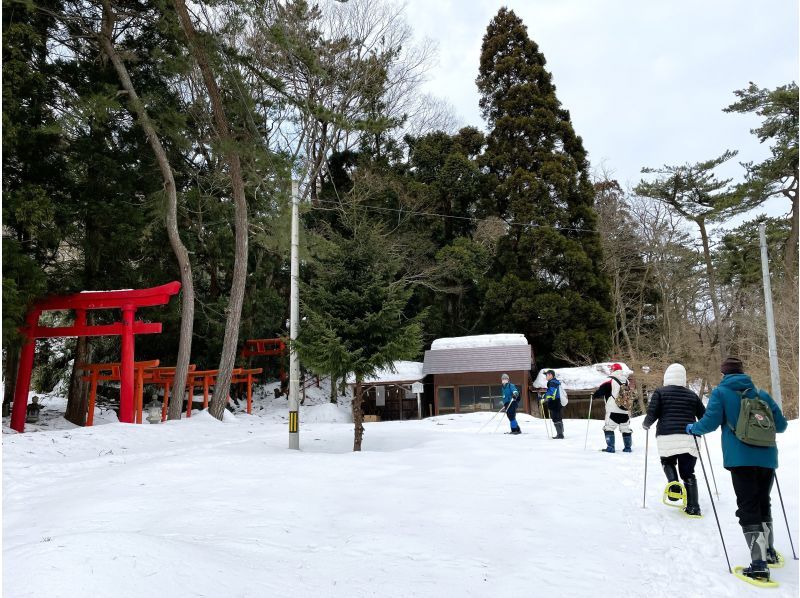 [อากิตะ, โนชิโร] ประสบการณ์เดินป่าด้วยรองเท้าลุยหิมะในป่าสนที่ใหญ่ที่สุดของญี่ปุ่น "ป่าสนลม" - เดินป่าพร้อมไกด์ (จัดขึ้นเมื่อวันที่ 11 กุมภาพันธ์)の紹介画像