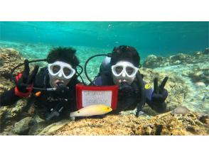 体験ダイビング【沖縄本島・青の洞窟等】♡ 初心者・お一人様・グループ（日本語・English）