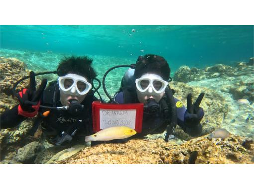 体験ダイビング【沖縄本島・青の洞窟等】♡ 初心者・お一人様・グループ（日本語・English）の画像