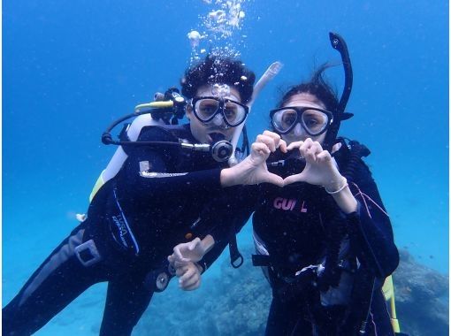 【沖縄・石垣島】半日ダイビングツアー！機材レンタル込み！シャワー付き！無料で撮影レンタル、写真プレゼント！の画像