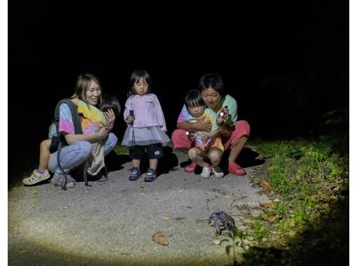 【ナイト/1時間】当日予約OK! 宮古島の夜の生き物探索 &星空鑑賞! ジャングルナイトツアー！全額返金保証アリの画像