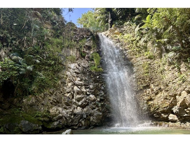 【北海道・SUP体験】透明度の高い支笏湖の湖面をクルージング！SUP体験（半日コース）の画像