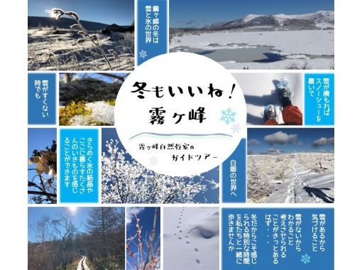 【長野・霧ヶ峰】冬の八島湿原２時間 プライベートガイド～ご希望の日時で おひとり様・ファミリー大歓迎の画像