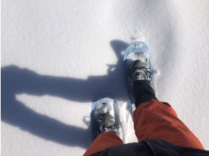 【長野・霧ヶ峰】スノーシュー八島湿原ウォーク（ランチ付き4時間）