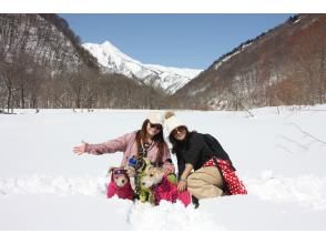 [Gunma, Minakami] Dog Snow Trekking to enjoy Japan's beautiful snow scenery with your dog (half-day tour)