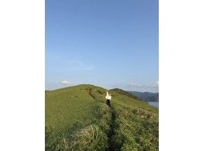 【奄美大島 / 完全送迎 / 1組様限定貸切案内】半日フリーツアー
