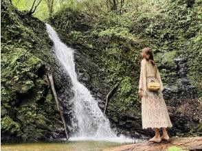 【奄美大島 / 完全送迎 / 1組様限定貸切案内】半日フリーツアー