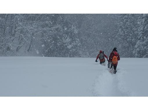 [Fukushima/Aizu] Near Ouchijuku: "Half-day snowshoe experience" Beginners and children welcome! Come empty-handed!の画像