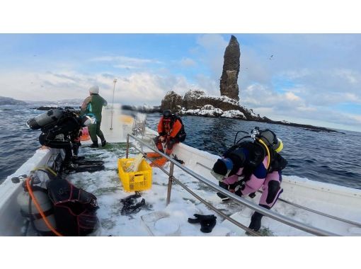 ≪真冬の冬季ダイビング！≫【北海道・積丹-余市】札幌発(無料送迎)or現地集合！全器材レンタルで2ボートファンダイビングで楽しもう！の画像