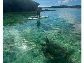 【海亀90％遭遇】無人島SUP＋シュノーケル《写真付き》