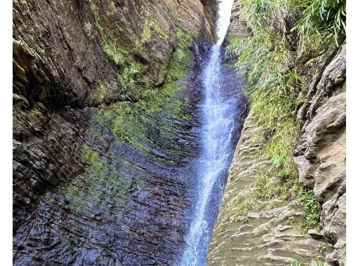 【秘境探検】旧下阿嘉集落＆神秘の滝トレッキング《ガイド同行》の画像