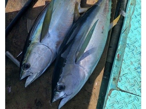 【冬季漁獲更佳】空手而來！乘船釣魚體驗（歡迎新手）の画像