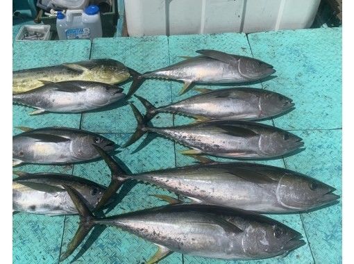 【貸切】家族・グループ向けフィッシング4時間《釣れた魚を食べられる》の画像