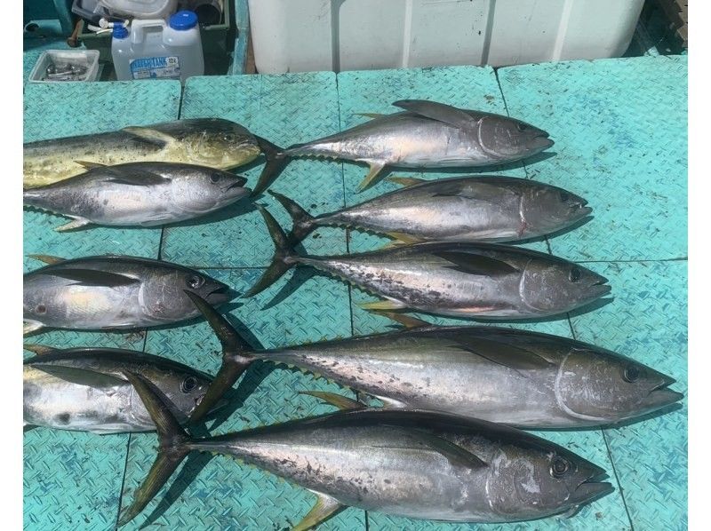 【北海道・SUP体験】透明度の高い支笏湖の湖面をクルージング!SUP体験(半日コース)の画像