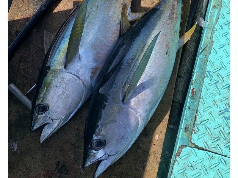 【北海道・SUP体験】透明度の高い支笏湖の湖面をクルージング！SUP体験（半日コース）の画像