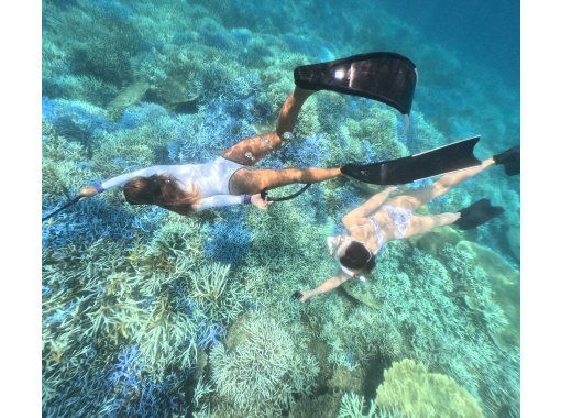 [Okinawa Gorilla Chop] Skin Diving ♡ Photos, videos, and lots of free gifts ♪の画像