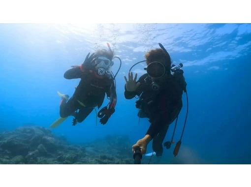 【鹿児島・奄美大島】1ツアー一組限定！！奄美の美しい海「倉崎海岸」で体験ダイビング！の画像