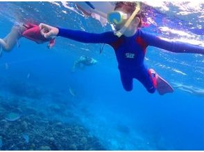 [โอกินาว่าเกาะประจำจังหวัด Kerama เกาะ Zamami] สนุกไปกับเรือได้ 2 คะแนนการดำน้ำตื้น(Snorkeling)หลักสูตรครึ่งวัน