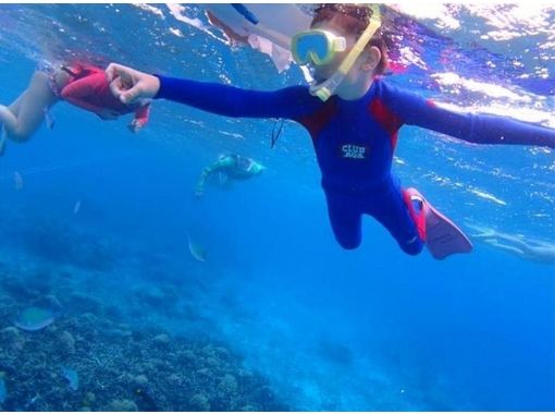 【沖縄県 ケラマ諸島 座間味島】2ポイントで楽しめる ボートシュノーケリング半日コースの画像