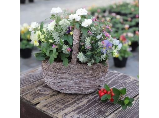 【秋田縣由利本莊】像插花一樣體驗植物採集！ <入門課程>含午餐和甜點套餐♪の画像