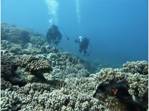 【シャワー・更衣室・器材＆バスタオル付・送迎有】一組貸し切りお手軽北谷2ボートダイビングの画像