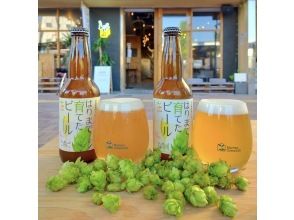 Craft beer experience tour in Himeji, where beer is grown right down to the stem