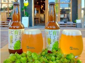 はりまで育てる、姫路で味わう。クラフトビール体感ツアー