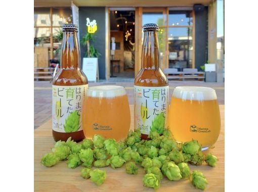 はりまで育てる、姫路で味わう。クラフトビール体験ツアーの画像