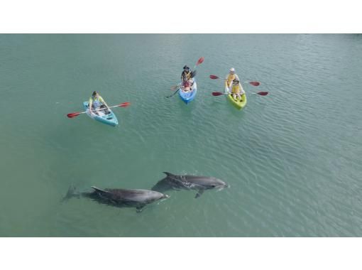 [Shizuoka, Shimoda] Kayaking experience in a wide cove! (Participation is possible from elementary school students)の画像